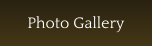 Photo Gallery