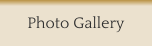 Photo Gallery